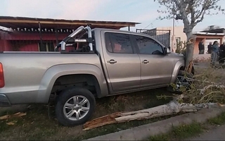 Manejaba alcoholizado, chocó contra un árbol y una mujer terminó herida de gravedad