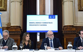  Royón es la nueva presidenta de la comisión de Minería del Senado