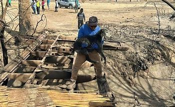 Tras los incendios, el municipio de Pocito rescató y curan a animales heridos