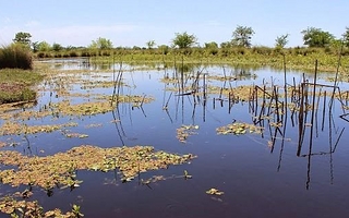 Denuncian desmonte y riesgo para un humedal junto a un parque nacional