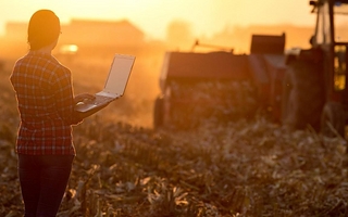 Banco Nación consolida su liderazgo en créditos para el agro