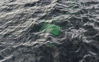 Encontraron una camioneta hundida en un lago y buscan saber cómo llegó ahí