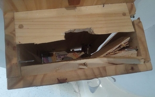 Robaron en el Santuario San José de Jáchal y se llevaron dinero de la alcancía
