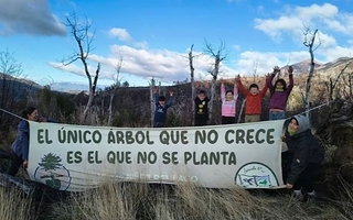 La Escuela N° 25 ya plantó más de 32.000 árboles en zonas quemadas