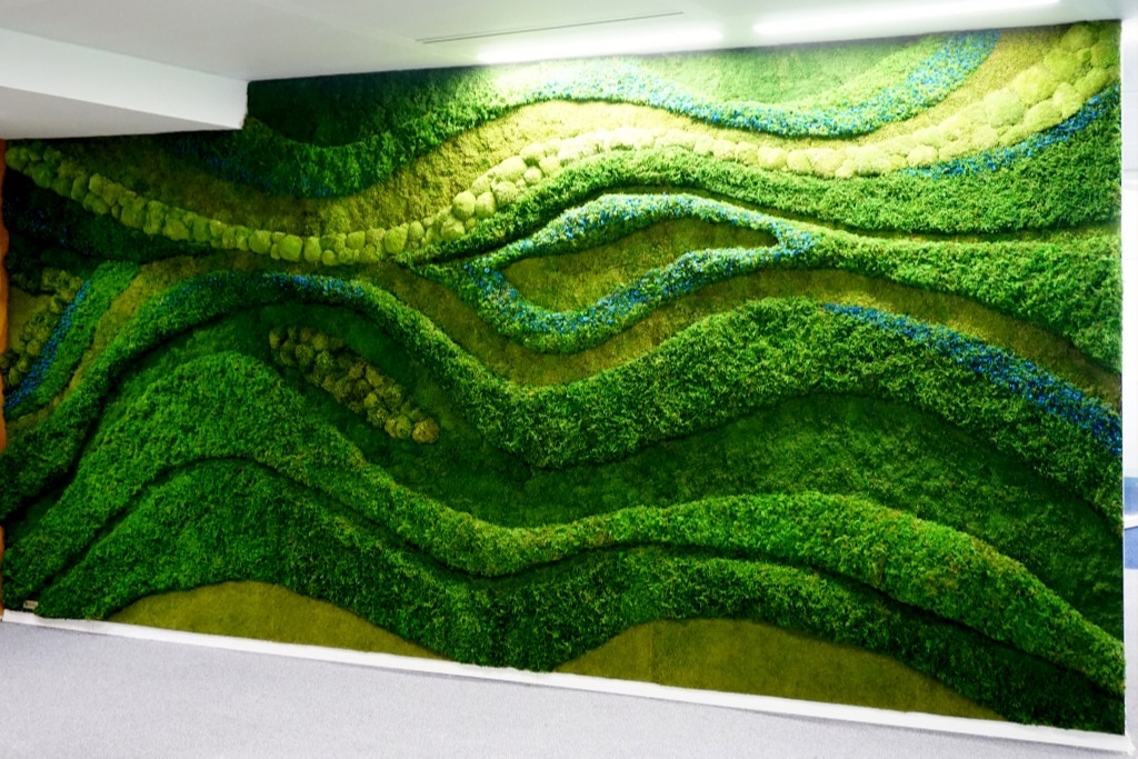 Muros vivos: una tendencia con múltiples beneficios