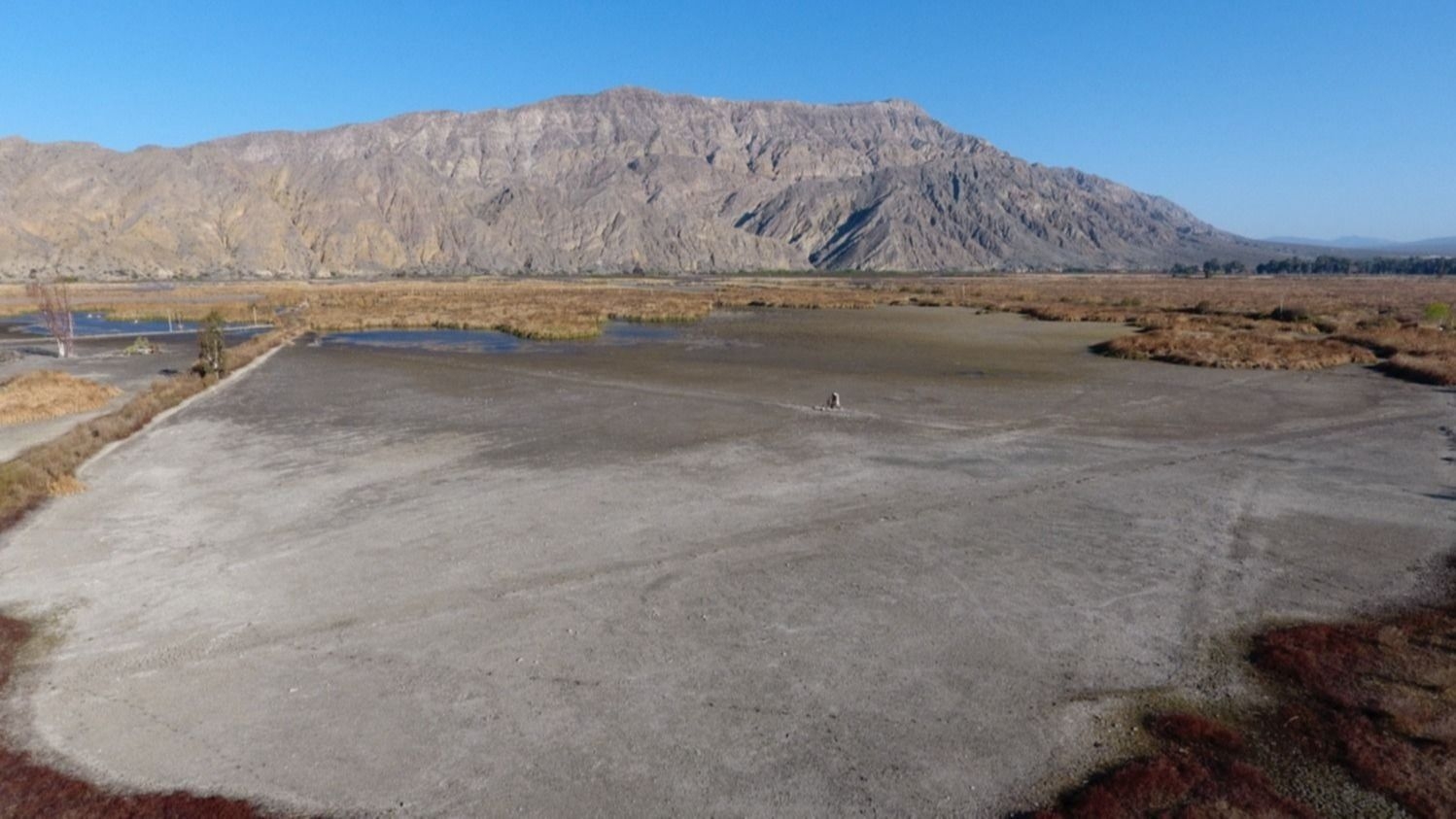 Aseguran que si el nivel del humedal sigue bajando, el acuífero de Zonda puede salinizarse