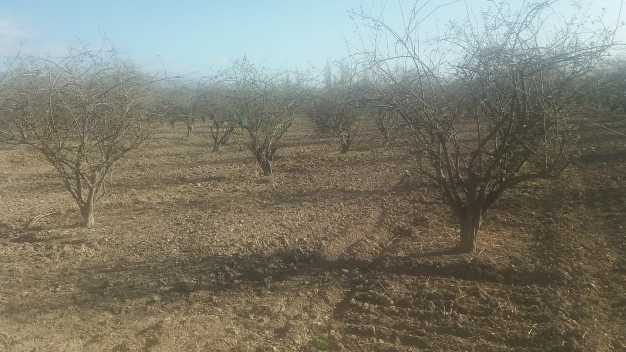 Productores jachalleros harán un tractorazo en la 150 por la crisis hídrica