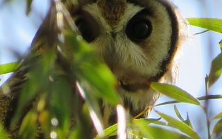  Cómo inscribirse al concurso de fotos del Parque Sarmiento