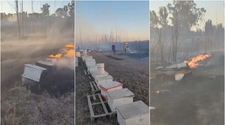 El fuego arrasó con colmenas de abejas en Santa Lucía