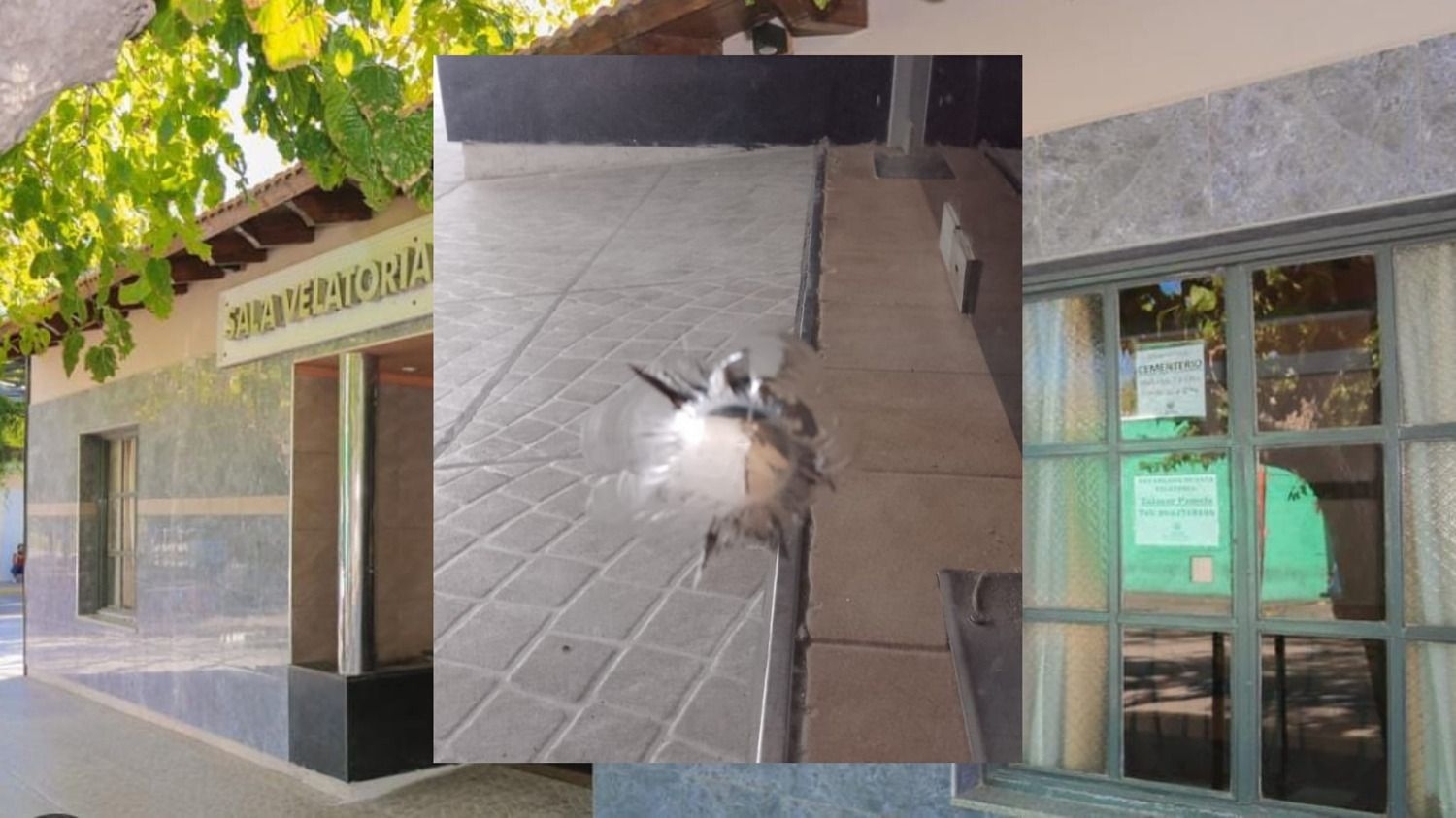 La Municipalidad de Angaco pidió ayuda a sus vecinos para combatir el vandalismo