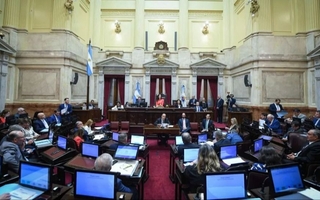 El Senado busca rechazar el veto a la emergencia en discapacidad