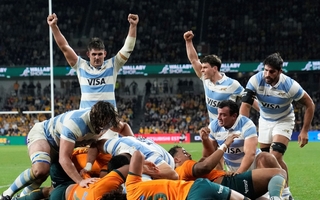 Los Pumas.