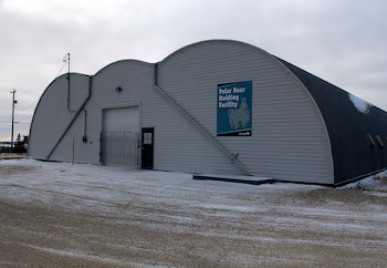 La cárcel de osos polares en Churchill, Canadá