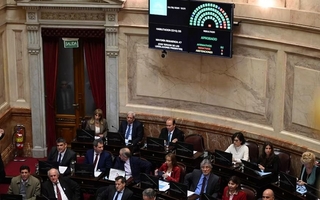 El Senado rechazó el veto de Milei y reimpuso la ley de emergencia en discapacidad