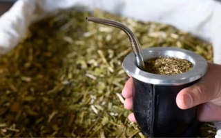 Tomar mate a diario: beneficios y cuidados