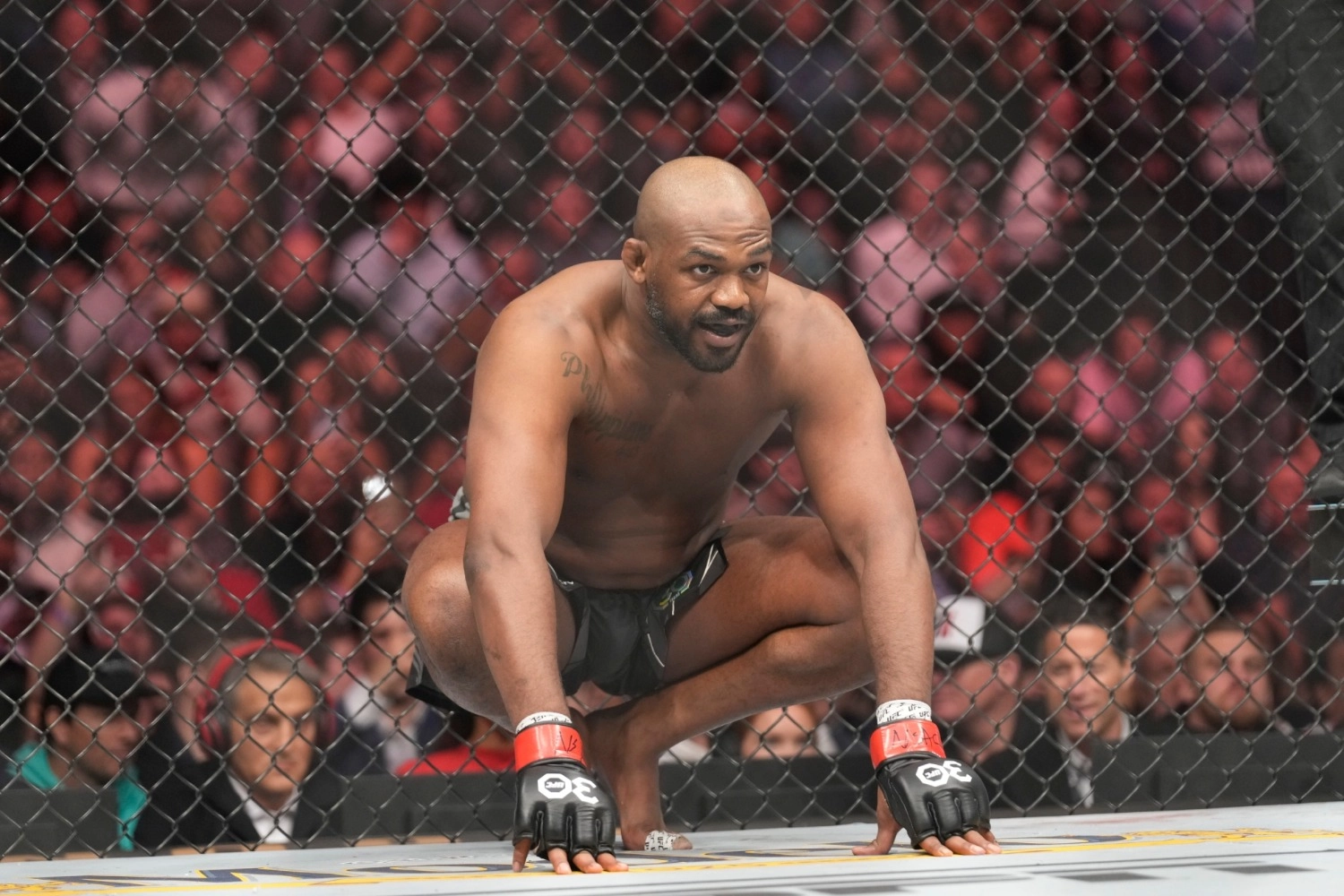 UFC.