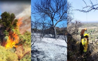 Grave incendio en Astica obligó a evacuar a vecinos de la zona por prevención