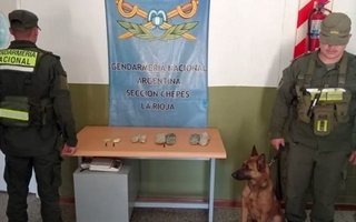 Secuestran drogas en un colectivo que pasaría por San Juan e iba de Jujuy a Mendoza