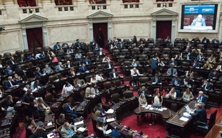 Diputados se preparan para revertir los vetos a universidad y salud pediátrica