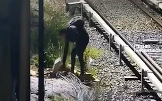 Ladrón casi electrocutado fue detenido al intentar robar cables en el tren Mitre