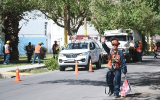 Vecinos preocupados por podas fuera de temporada: Ambiente confirmó que están autorizadas