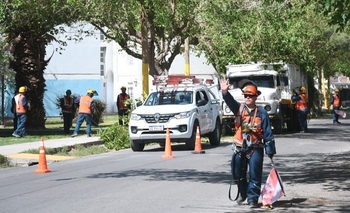 Vecinos preocupados por podas fuera de temporada: Ambiente confirmó que están autorizadas