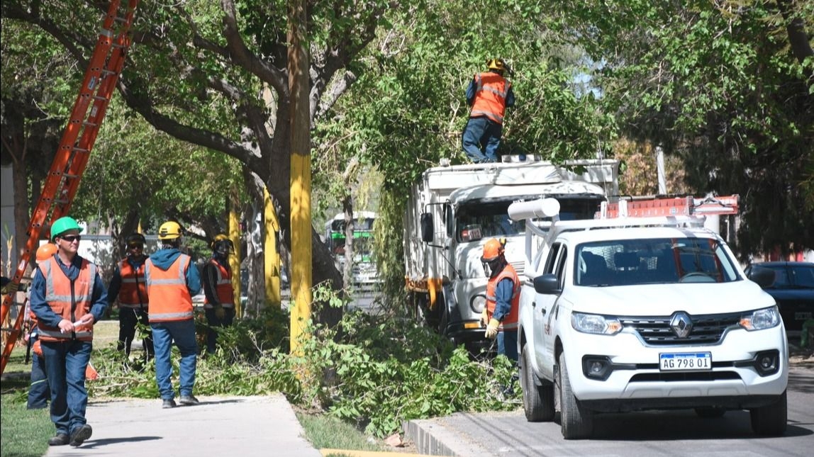 Naturgy advirtió a la población sobre podas cerca de redes eléctricas