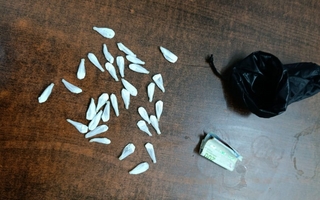 Tuvo una discusión familiar, la policía fue a su casa y le encontró 32 envoltorios de cocaína