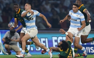 Los Pumas.