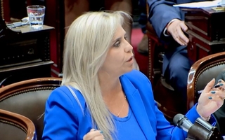 Diputada sanjuanina cuestionó el veto de Milei a Ley Universitaria y Emergencia Pediátrica