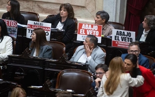 Diputados debate en vivo los vetos de Milei a la Ley Universitaria y de Emergencia Pediátrica