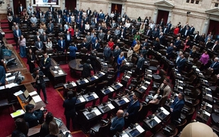 Diputados rechazaron los vetos de Milei al Garrahan y las universidades
