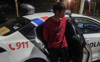 Vio el robo por las cámaras de seguridad y atrapó al ladrón