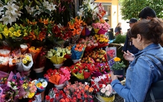 Inicio de la Primavera: el truco real para que las flores duren más