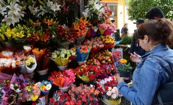Inicio de la Primavera: el truco real para que las flores duren más