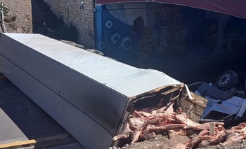 Volcó un camión frigorífico en Mendoza y vecinos intentaron llevarse la carne