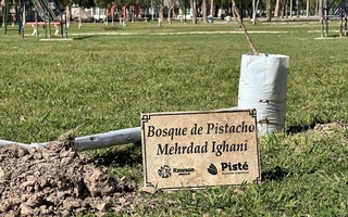Rawson apuesta al pistacho: plantarán 500 árboles en el Parque y plazas del departamento