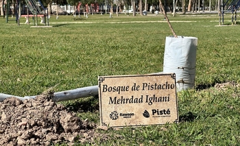 Rawson apuesta al pistacho: plantarán 500 árboles en el Parque y plazas del departamento