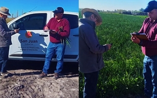 Controlan más de 600 hectáreas de cultivos semilleros en el Valle de Tulum