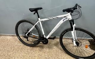 La Policía de Caucete recuperó una bicicleta robada 
