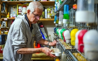 Jorge, el sanjuanino que lleva 25 años de su vida dedicado a la canaricultura
