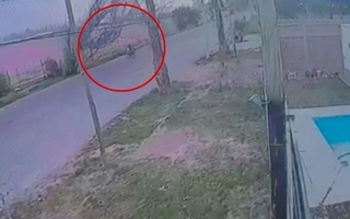 Le cayó un árbol encima: un repartidor de Pedidos Ya se salvó de milagro en Mendoza