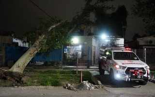 Por el fuerte viento sur, un árbol cayó sobre una vivienda en Rawson