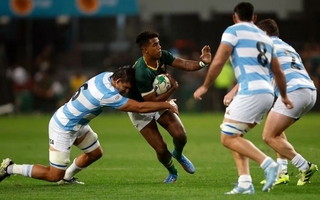 Los Pumas cayeron ante Sudáfrica y se quedaron sin el Rugby Championship
