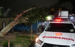 El Ministerio de Familia informó asistencia tras los destrozos del viento sur