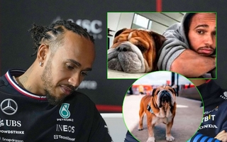 Lewis Hamilton.