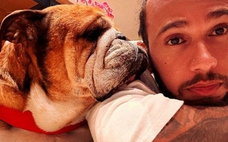 Lewis Hamilton despide a su perro Roscoe tras luchar contra una neumonía
