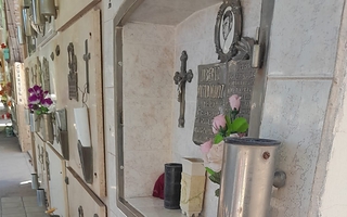 Robo en el cementerio de Pocito: saquearon tumbas y destruyeron todo