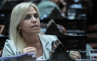 Nancy Picón respaldó el proyecto de Milei sobre Malvinas: "Es muy positivo"