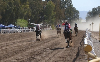 Clásico Sarmiento: récord con 14 caballos en la competencia del Premio Domingo F. Sarmiento